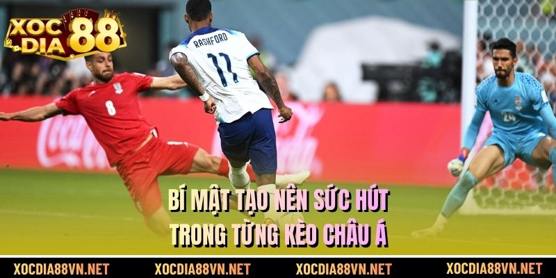 Bí mật tạo nên sức hút trong từng kèo châu Á