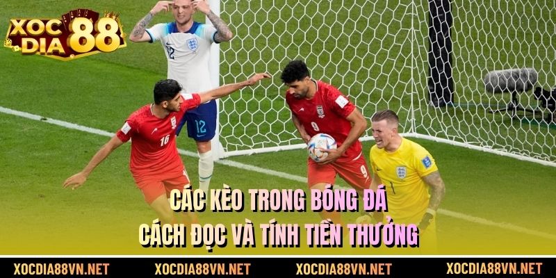 Các Kèo Trong Bóng Đá | Cách Đọc Và Tính Tiền Thưởng