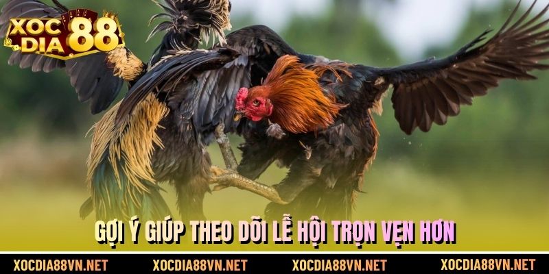 Gợi ý giúp theo dõi lễ hội trọn vẹn hơn