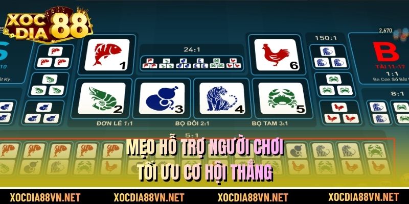 Mẹo hỗ trợ người chơi tối ưu cơ hội thắng