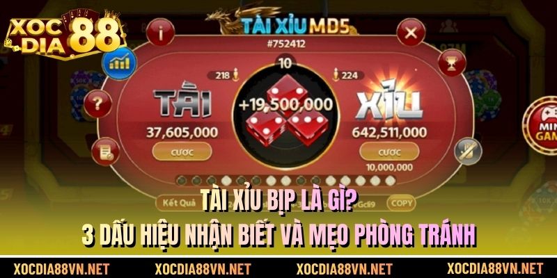 Tài Xỉu Bịp Là Gì? 3 Dấu Hiệu Nhận Biết Và Mẹo Phòng Tránh