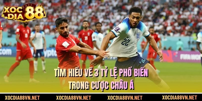 Tìm hiểu về 3 tỷ lệ phổ biến trong cược châu Á