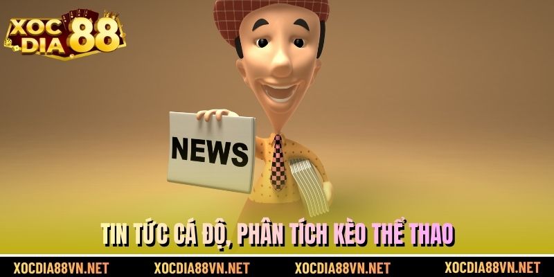 Tin tức cá độ, phân tích kèo thể thao
