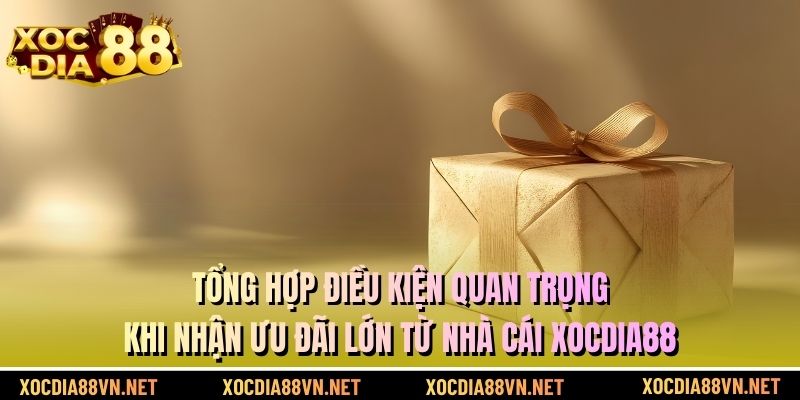 Tổng hợp điều kiện quan trọng khi nhận ưu đãi lớn từ nhà cái XOCDIA88