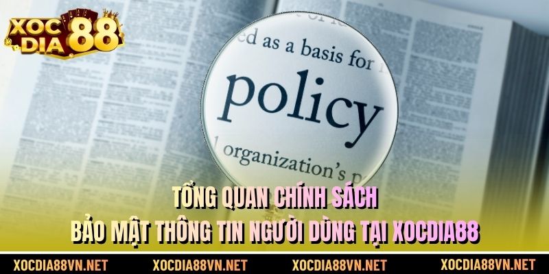 Tổng quan chính sách bảo mật thông tin người dùng tại XOCDIA88