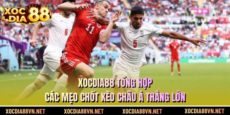 XOCDIA88 tổng hợp các mẹo chốt kèo châu Á thắng lớn